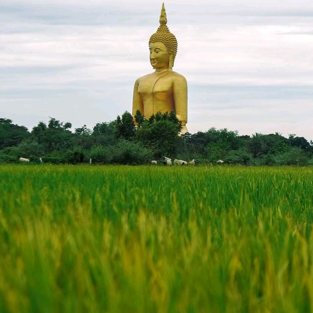 ไหว้พระ ทำบุญ วัดม่วง อ่างทอง
