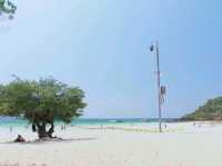 เที่ยวหาดเทียนเกาะล้าน