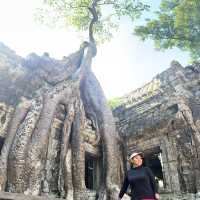 Another incredible Temple -TA PROHM