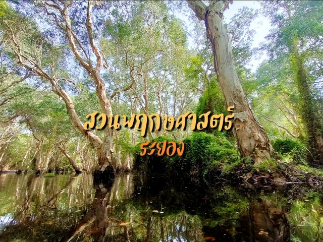 เที่ยวสวนพฤกษศาสตร์ระยอง