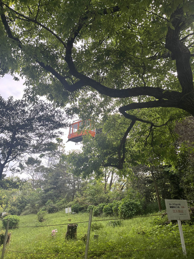【山口観光】運行終了の前にぜひ乗って🚡✨