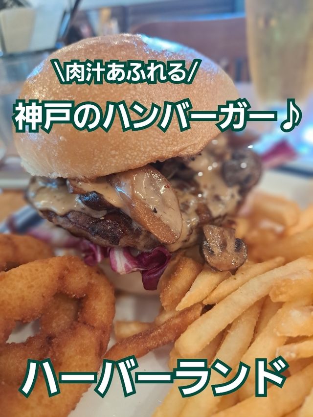 【ハーバーランド】サラダバー付き♪おひとり様ランチ
