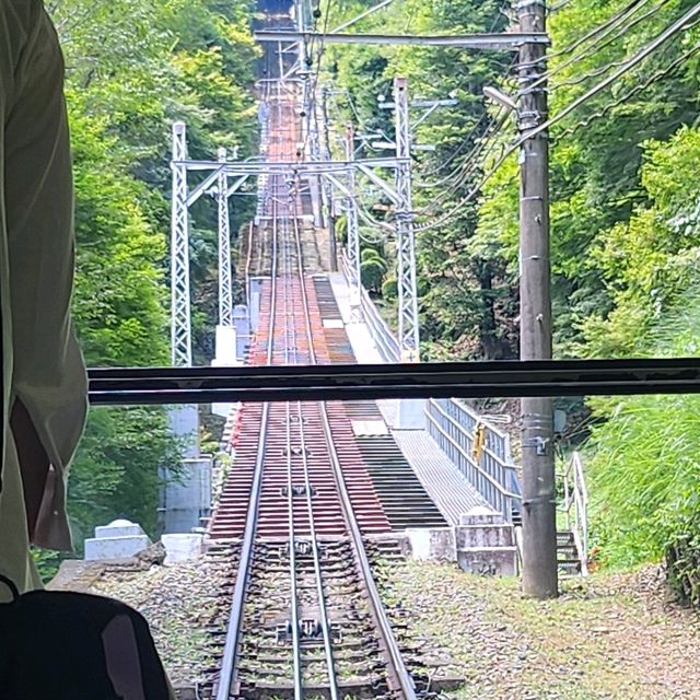 Something different in Tokyo Mount Takao 