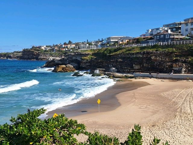 Seas the day with Bondi Coogee Coastal Walk