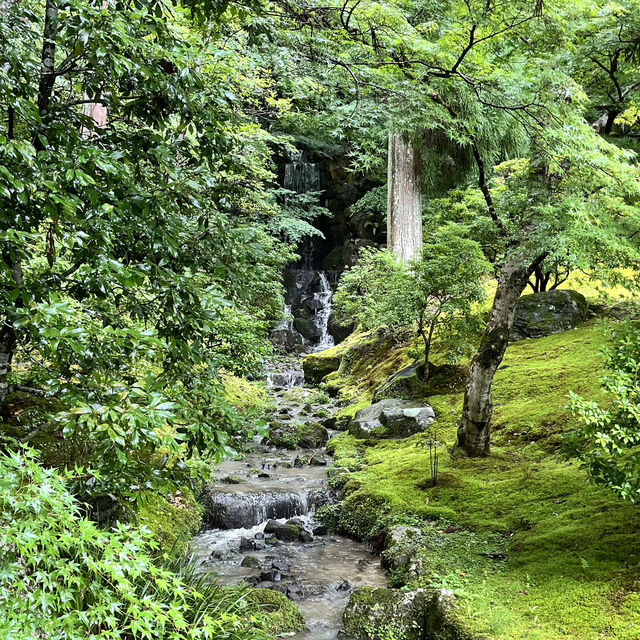 【京都】修学院離宮の豊かな自然を楽しもう🌲
