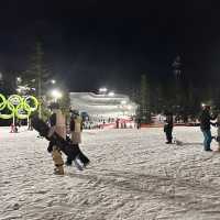 【Cypress Mountain】🇨🇦〜バンクーバーの冬の楽園、スキーと絶景のアドベンチャー〜