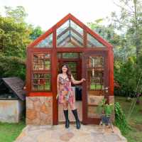 ⛺️✨นอนเต็นท์ติดแกลมที่เขาใหญ่ 🌳Marasca Khaoyai