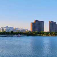 【上海】楊浦濱江：城市風景畫捲