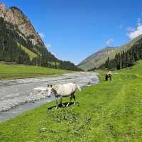 Kyrgyzstan's Untamed Beauty