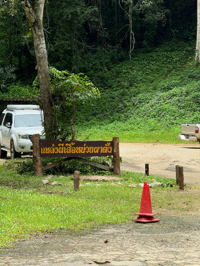 แหล่งผีเสื้อ | อ.เชียงดาว 🏡🌿🌧️🦋