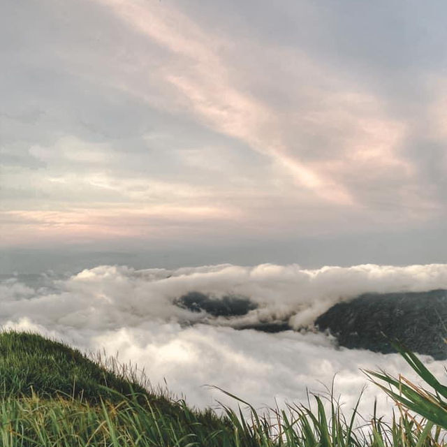 🌥️ร่างกายต้องการหมอก ต้องมาเที่ยวภูทับเบิก