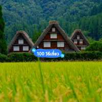 Shirakawa go หน้าร้อนก็สวยไม่แพ้ฤดูอื่นนะคะ