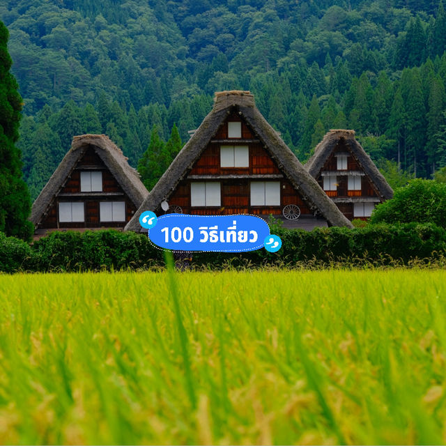 Shirakawa go หน้าร้อนก็สวยไม่แพ้ฤดูอื่นนะคะ