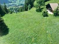 พาขึ้นยอดเขา🏔️ Grindelwald First 
