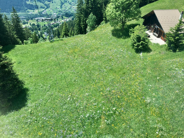 พาขึ้นยอดเขา🏔️ Grindelwald First 