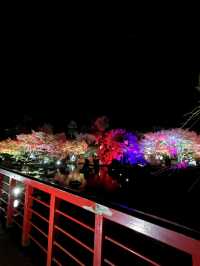 【大分観光】ライトアップされた紅葉を楽しめる日本庭園🍁✨️