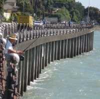 "Napier Marine Parade: Coastal Charm and Scenic Beauty in New Zealand"
