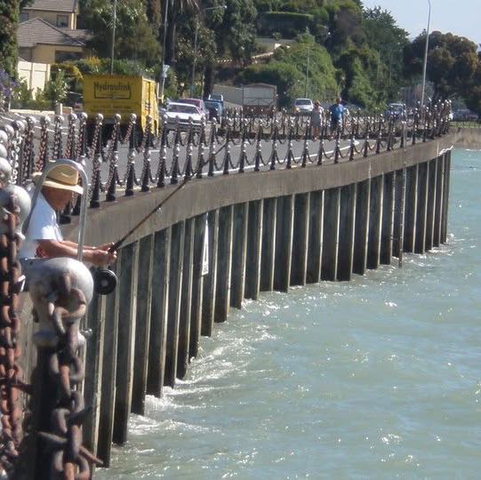 "Napier Marine Parade: Coastal Charm and Scenic Beauty in New Zealand"