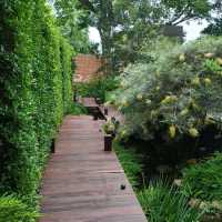Proudphufah Chiangmai ที่พักบรรยากาศป่าในเมือง
