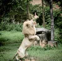 สวนสัตว์ขอนแก่น