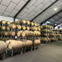 Sips in Stellenbosch: A Wine Lover's Paradise