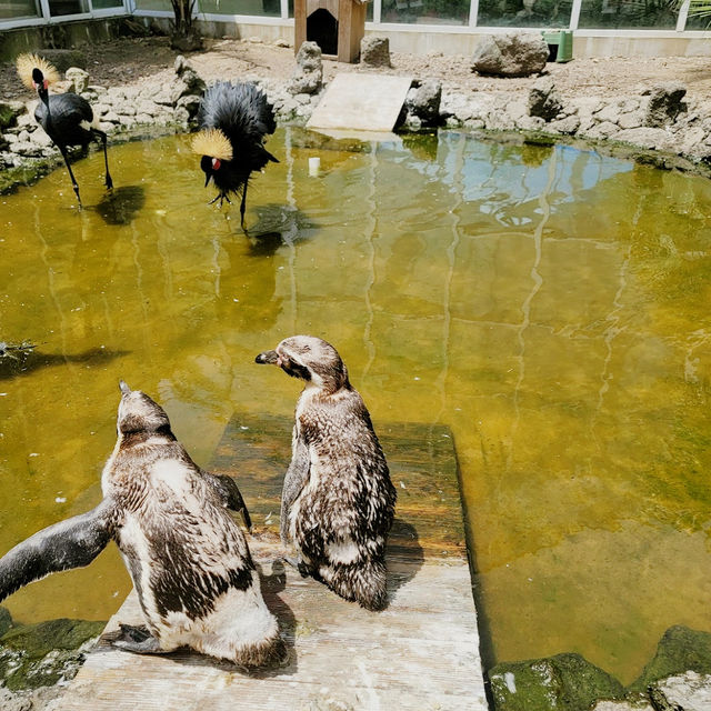 Hwajowon / Flower Bird Park