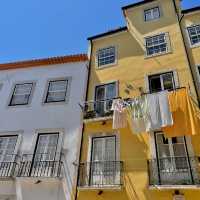 Colourful heart of Lisbon 🌺🦜