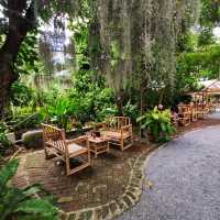 คาเฟ่บรรยากาศดี