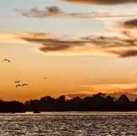 "Sunset Serenity: A Memorable Evening at Pulau Bangau"