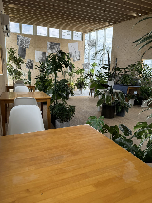 【福岡カフェ】室内なのにグリーンがいっぱいの癒し系カフェ🌿