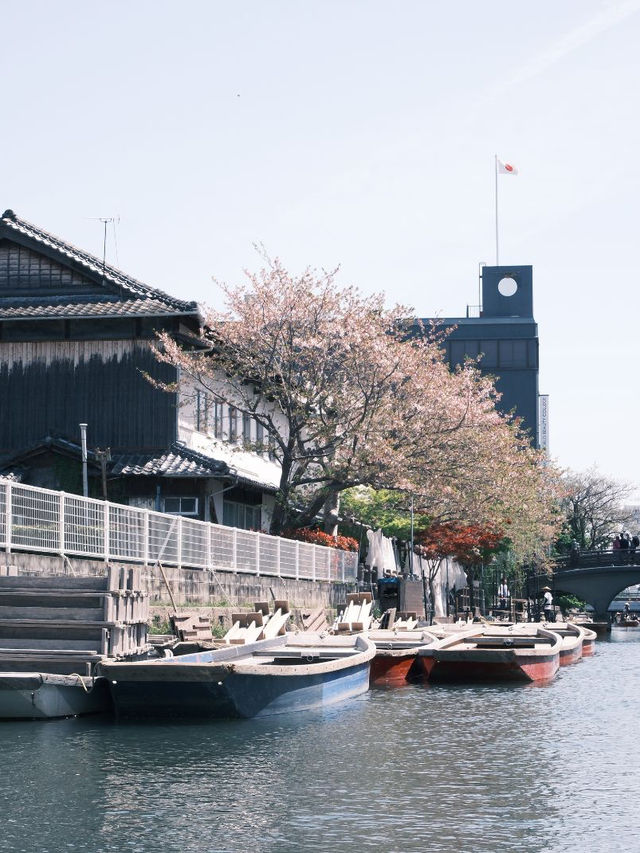 福岡｜柳川遊船特色體驗 🚣🚣