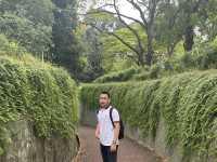 Fort Canning Tunnel แนวธรรมชาติ