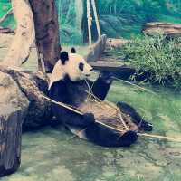 台北動物園：用精彩的生態歷險體驗悠閒假期