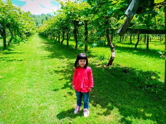 🇳🇿 Farm Tour @ Agrodome, Rotorua