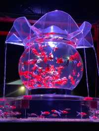 金魚×光・音・香が織りなす芸術