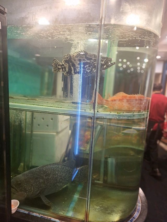 傳統中式酒家美食之旅～