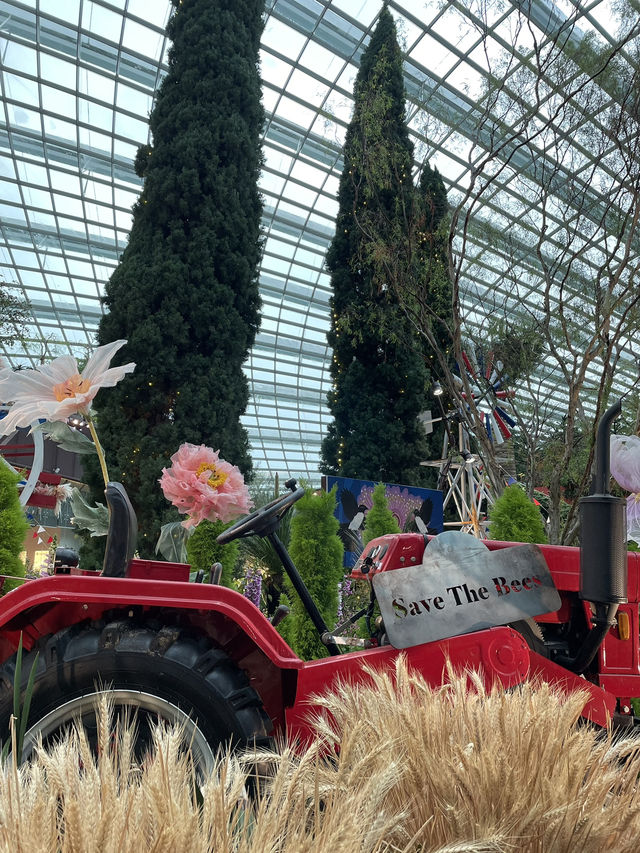 🇸🇬Join the Carnival of Flowers in Flower Dome Singapore ! 