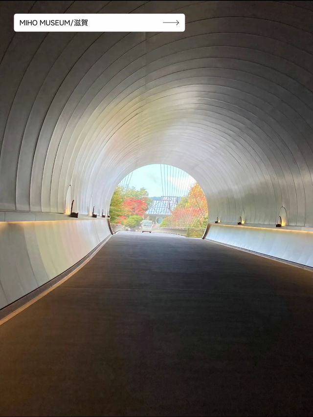 【だんだんと秋も深まるこの時期に🍂】10月に行きたい絶景スポット５選✨