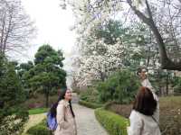 เที่ยวฤดู Spring in Ewha University 🌸