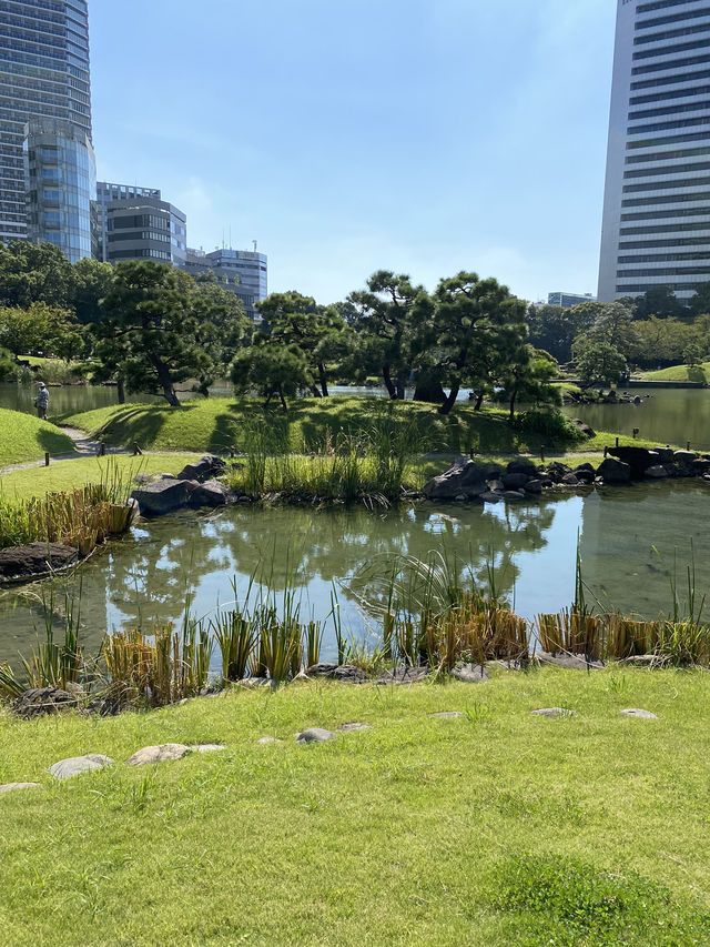 【東京】穴場！大都会の美しい日本庭園