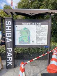【東京】東京タワーがきれいに見える公園