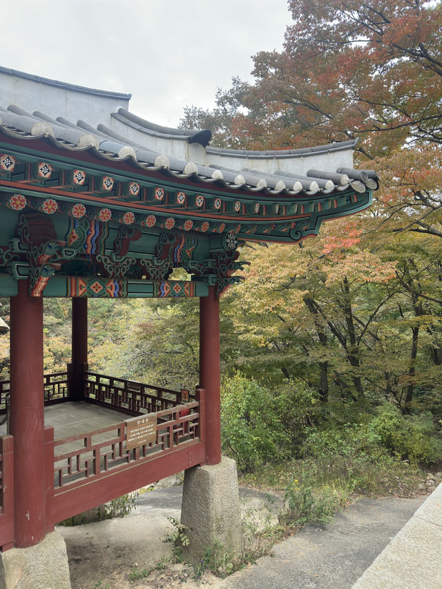 Fresh air and smell of pine trees in Bukhansan forest