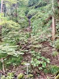 【埼玉県】銅が最初に発見された場所は金運パワー大！