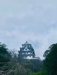 【日本岐阜】郡上八幡：町家與水利設施合而為一的歷史風景