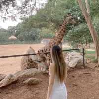 Bonanza Khaoyai สวนสัตว์สุดน่ารัก