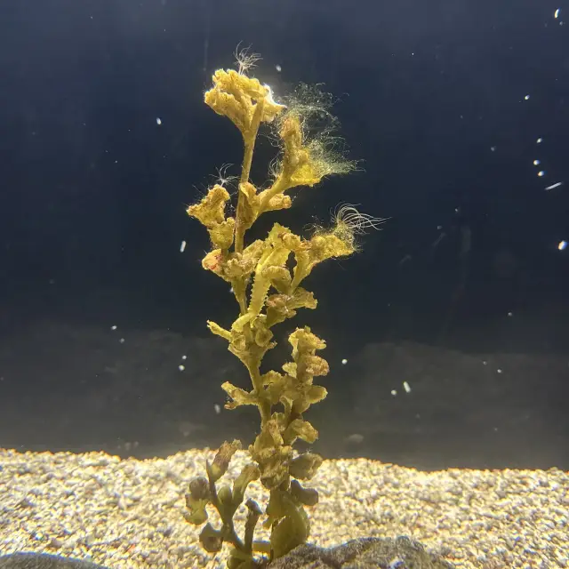 颱風襲擊 恆春水肺教練的陸遊行程