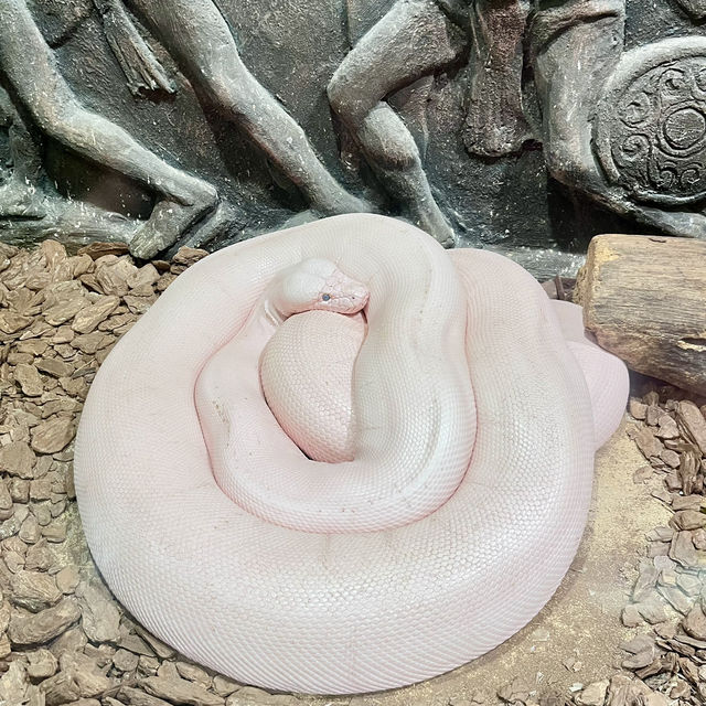 Pata Zoo Bangkok 