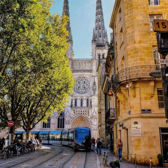 "Cultural Crossroads: Exploring Belgium, Poland and Italy"