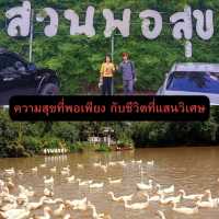 ความสุขกับสวนพอสุข ให้อาหารเป็ดและปลา