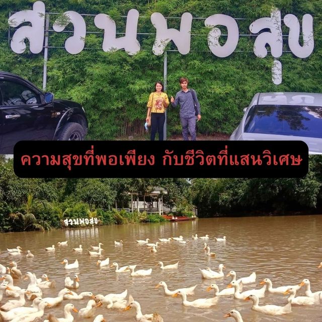 ความสุขกับสวนพอสุข ให้อาหารเป็ดและปลา